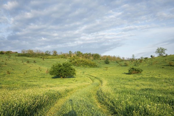 Yucatanhotelsdirectory