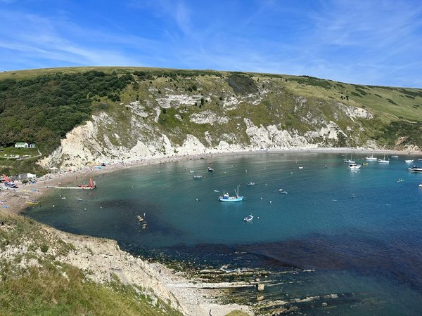 What should you consider when booking a holiday rental in Dorset for fossil hunting?