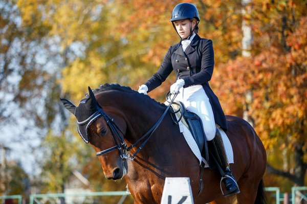 What are the best holiday rentals in the UK for attending equestrian events?